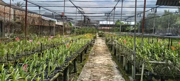 Beautiful Villa with Flower Garden for Sale in Jamin Ginting Beautiful Villa with Flower Garden for Sale in Jamin Ginting