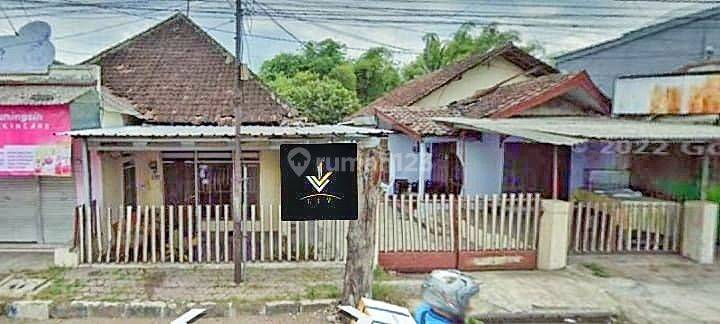 RUMAH LUAS STRATEGIS DI PINGGIR JALAN RAYA PROVINSI JEMBER (Mrk) 1