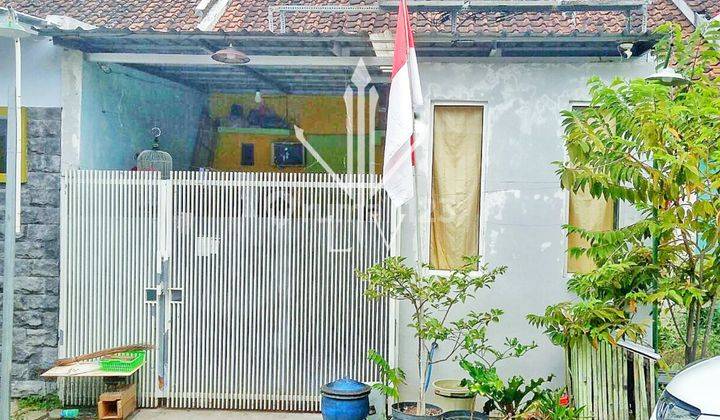 RUMAH SEWA CANTIK NYAMAN HUNI DI KOTA JEMBER 1