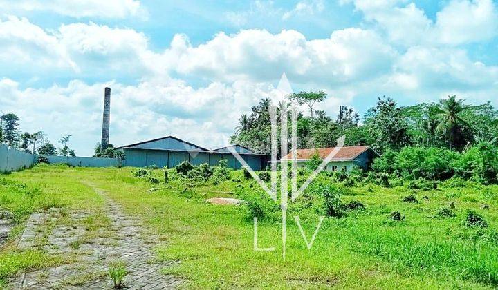 GUDANG SUPER LUAS YANG STRATEGIS DI KAWASAN JEMBER (Yus) 1