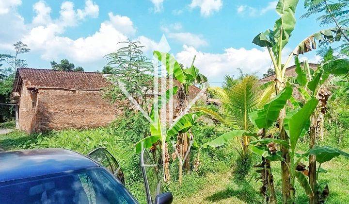 TANAH PEKARANGAN LUAS UNTUK PERTANIAN ATAU PERKEBUNAN (Yus) 1