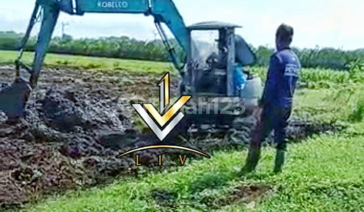 TANAH SUPER LUAS XOXOK UNTUK BISNIS KEBUN TEBU (Yus) 1