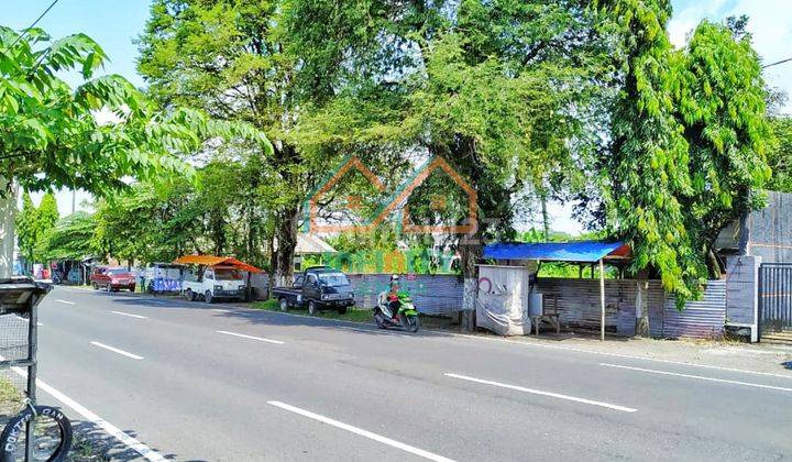 TANAH LUAS DI PINGGIR JALAN RAYA KOTA JEMBER (Cic) 1