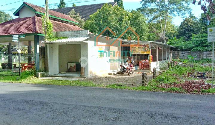 LAHAN LUAS DI JANTUNG KOTA JEMBER DEKAT UNEJ 1