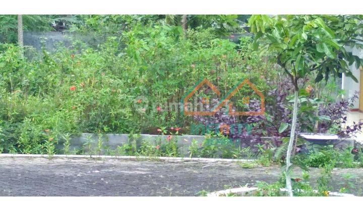 TANAH KAVLING LUAS DI JANTUNG KOTA JEMBER 1
