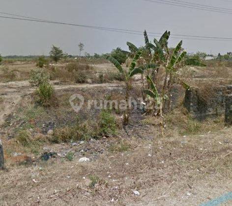 Dijual Tanah Strategis Ngawi  2,5 Hektar 2