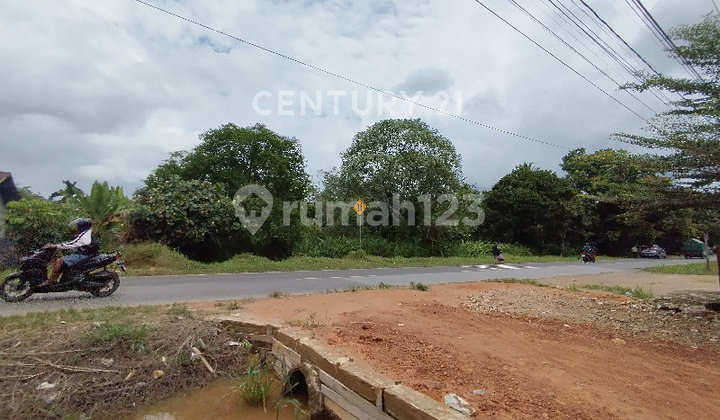 Tanah Di Desa Korek Jl. TransKalimantan 24.376m2