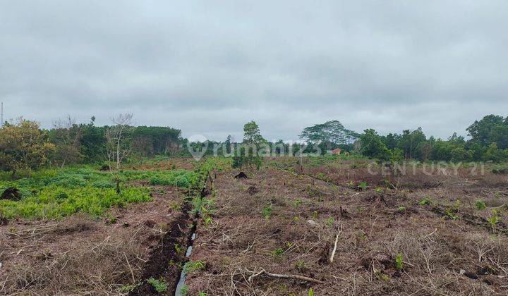 2 Unit Ruko Sungai Raya Dalam Bangka Belitung Darat 2