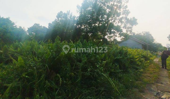 Tanah Ukuran 449M2 Lokasi Sungai Raya Dalam 1