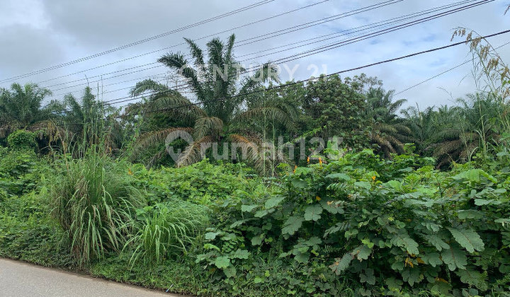Tanah Kosong Tepi Jalan Cocok untuk Usaha Lokasi Ramai Penduduk Tanah Kosong Tepi Jalan Cocok untuk Usaha Lokasi Ramai Penduduk