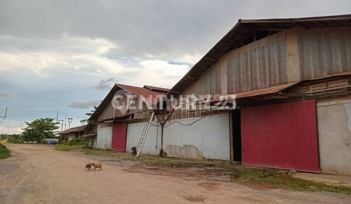 Ready-to-Use Warehouse, Wajok Pontianak