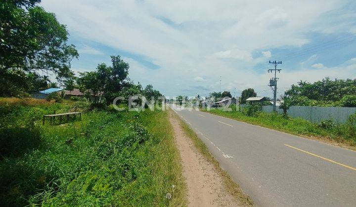 Tanah Tepi Jalan Trans Kalimantan 50 M X 400 2