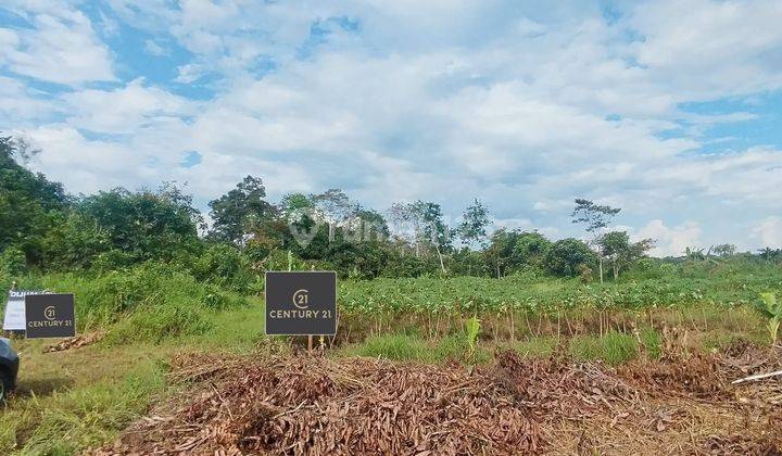 Tanah Kavling Dalam Komplek Jl. Desa Durian 176m2 1