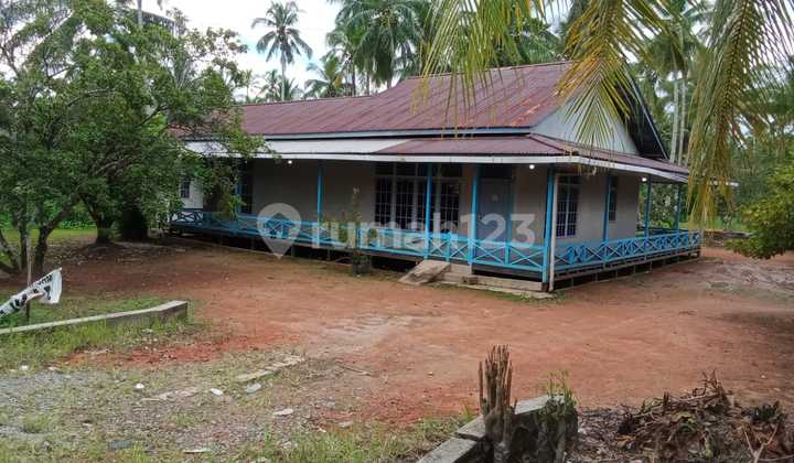 Lahan Luas Di Lokasi Strategis Di Jalan Raya Mempawah Lahan Luas Di Lokasi Strategis Di Jalan Raya Mempawah