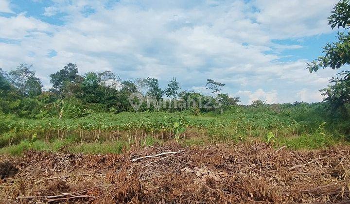 Tanah Kavling Dalam Komplek Jl. Desa Durian 176m2 2