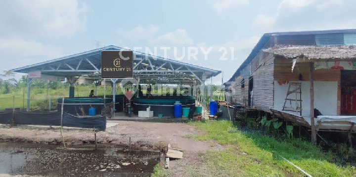 BONUS LAND WITH BIOFLOC AND EMPLOYEE DORMITORY ON OCTOBER 28TH STREET BONUS LAND WITH BIOFLOC AND EMPLOYEE DORMITORY ON OCTOBER 28TH STREET