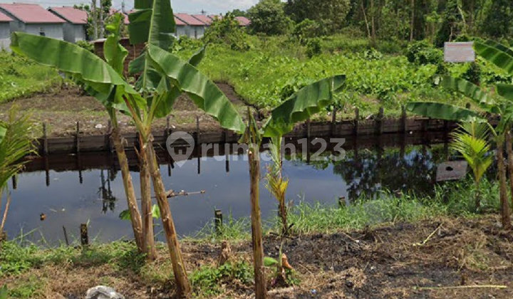 15,663 Prince Siantan Canal Roadside Land 15,663 Prince Siantan Canal Roadside Land