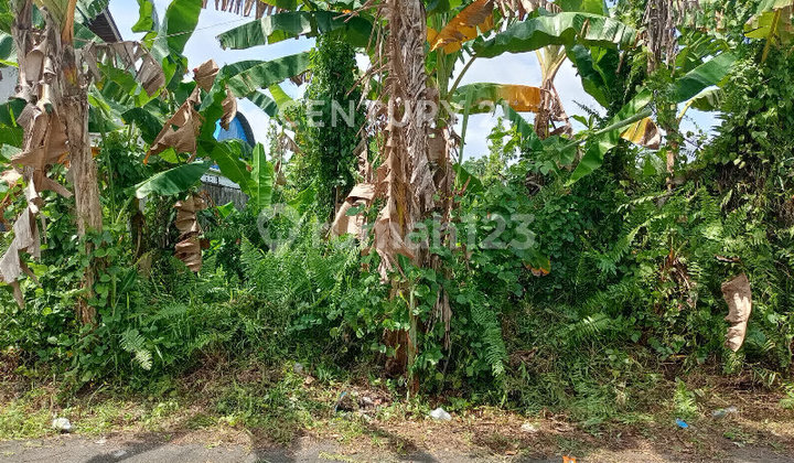 Tanah Siap Bangun, Ramai, Jl. Purnama 1 Pontianak