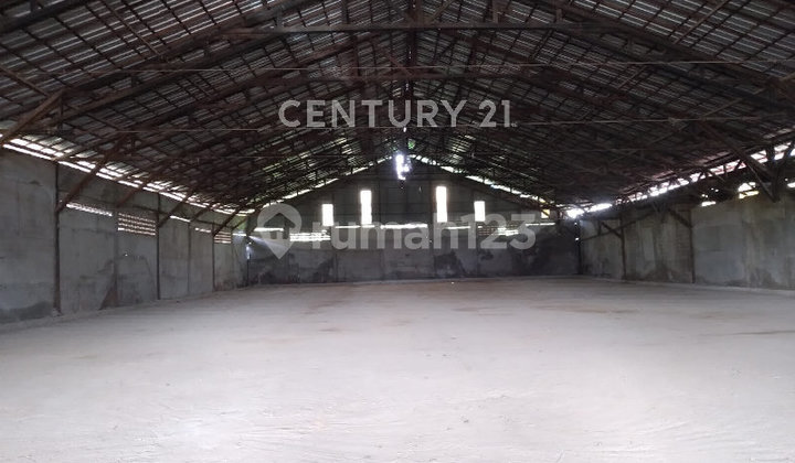 Warehouse 7 Location Wajok Area 864M2 With Pier Accessible for Containers
