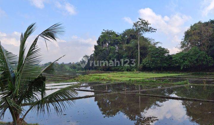 Land For Rent. 10 Are - 100 Are In Buduk 2