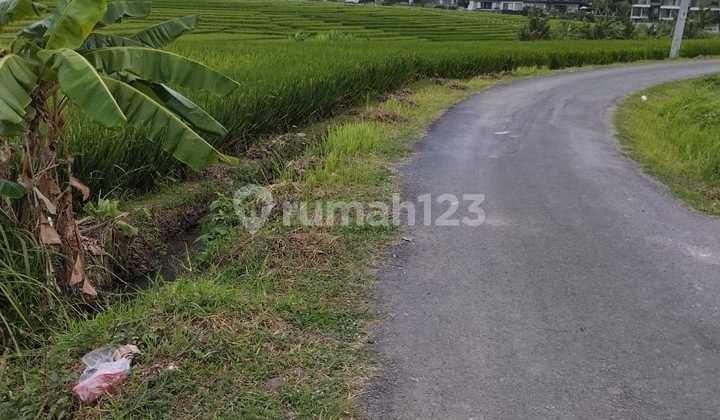 For Rent 16 Hectares of Land with SHM at Cemagi Beach For Rent 16 Hectares of Land with SHM at Cemagi Beach