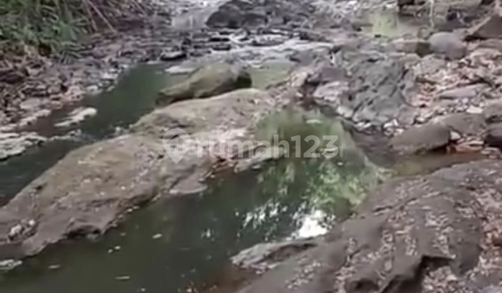 Disewakan Tanah 15 Are Shm Di Buwit Los Sungai