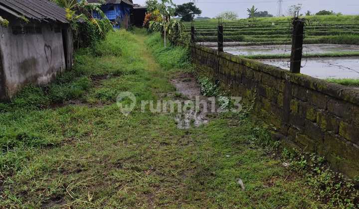 For Rent 34 Are Land with SHM in Kaba-Kaba.. For Rent 34 Are Land with SHM in Kaba-Kaba..