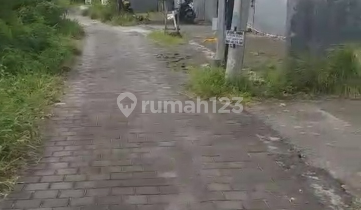 Disewakan Tanah 10 Are SHM di Canggu - Tandeg
