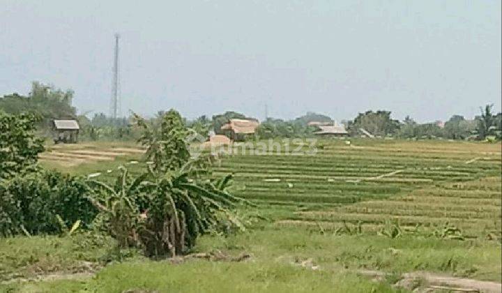 Tanah Di Kaba2 27 Are SHM - Sertifikat Hak Milik 2