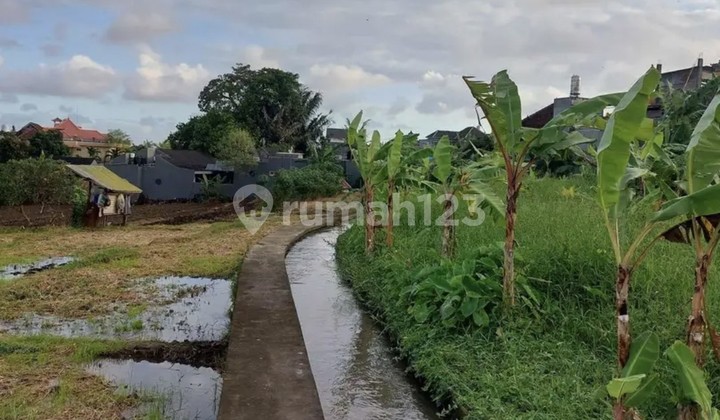 Disewakan Tanah 10.7 Are Shm Di.padonan 