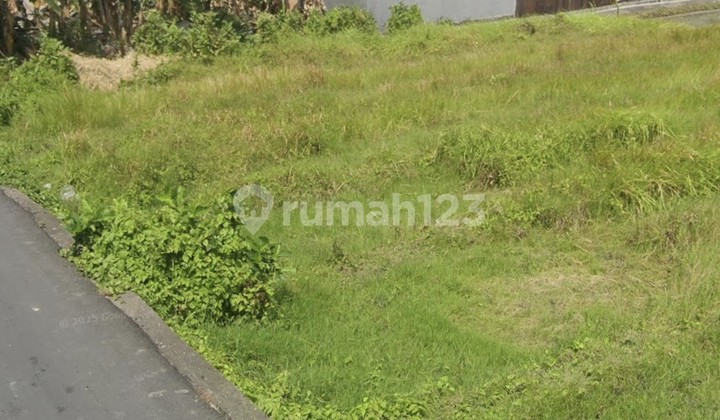 For Rent 9.5 Are Land with SHM in Canggu-Padonan For Rent 9.5 Are Land with SHM in Canggu-Padonan