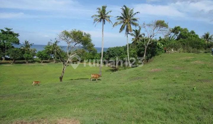 Land for Sale 60 Ares SHM Los Beach Klecung