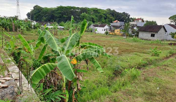 For Rent 10 Are Land with SHM in Kedungu.... For Rent 10 Are Land with SHM in Kedungu....