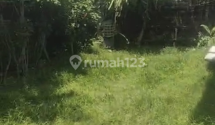 For Rent 2 Bedroom House with Shm in Cepaka....