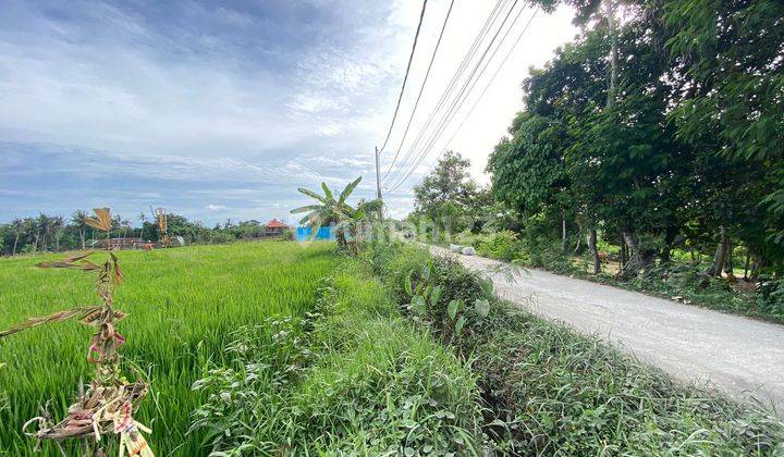 Tanah Kontrakan Nyanyi Beach 50 Are Yellow Zone 2