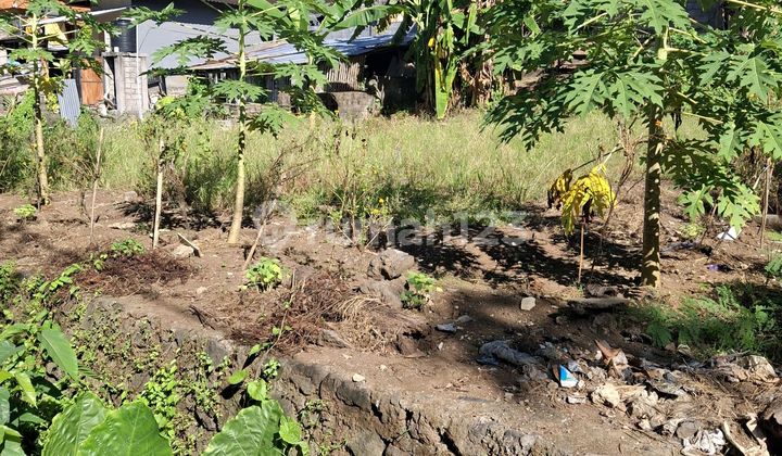 For Rent 4 Are Land with SHM in Cepaka-Tumbakbayuh For Rent 4 Are Land with SHM in Cepaka-Tumbakbayuh