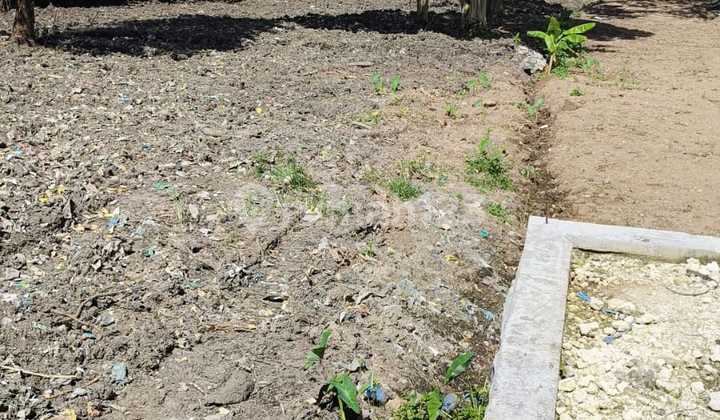 Dijual Tanah 15 Are SHM di Pererenan Jln Utama