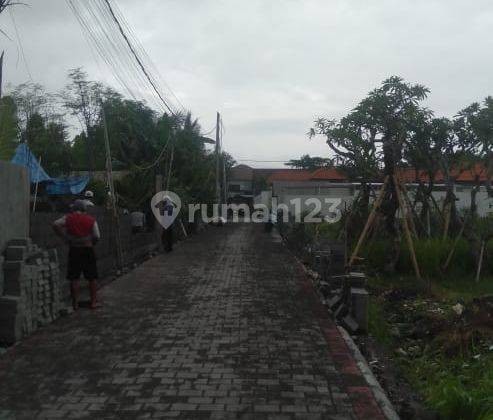 Disewakan Tanah 5 Are Shm Umalas - Bumbak 2