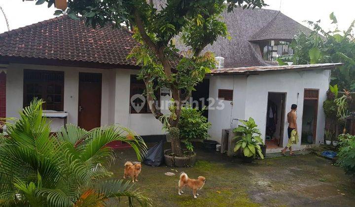 Rumah Kontrakan 6 Are Di Tibubeneng Shm Butuh Renovasi 2