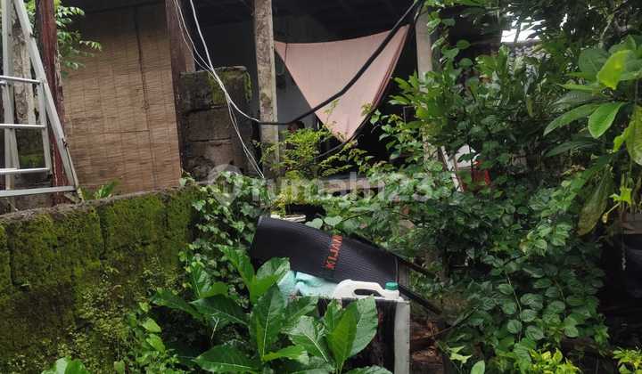 For Rent: Local House 3.5 Are SHM in Beraban-nyayi