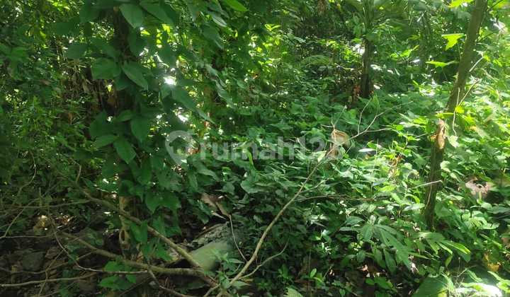 For Rent Land 8 Are Shm In Kaba-kaba.. For Rent Land 8 Are Shm In Kaba-kaba..