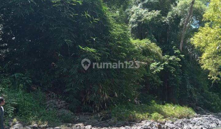 Tanah Kontrakan Buwit 25 Are View Jungle Dan Sungai 1