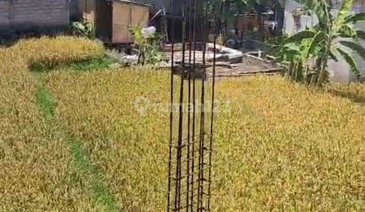 Rumah Kontrakan 2 Lantai Shm Canggu-Buduk 2