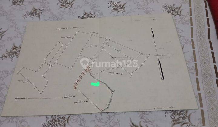 Tanah Disewakan 40 Are Shm Bongan -tabanan 2
