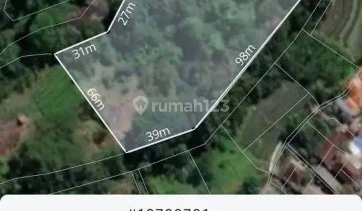 1 Hectare Land In Cepaka - Kaba2 Yellow Zone 1