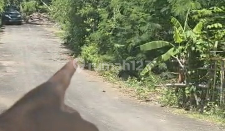 Land for Rent 70 Are with SHM in Nusa Dua....