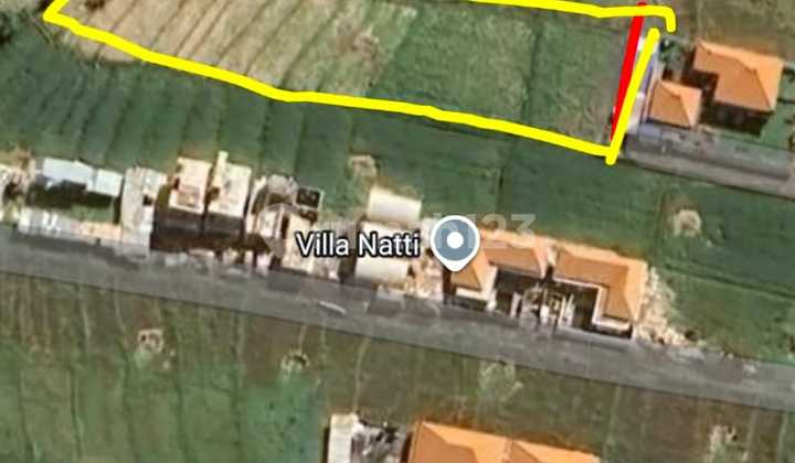 Disewakan Tanah 20 Are Shm Di Seseh- Beach