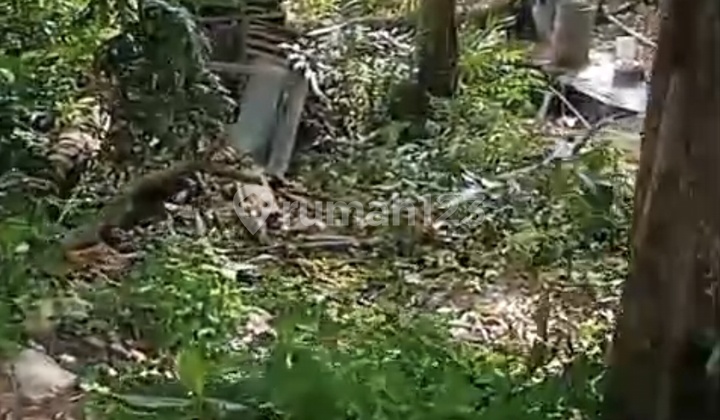 Land for Rent 12 Are SHM in Cepaka - Kaba Kaba Land for Rent 12 Are SHM in Cepaka - Kaba Kaba