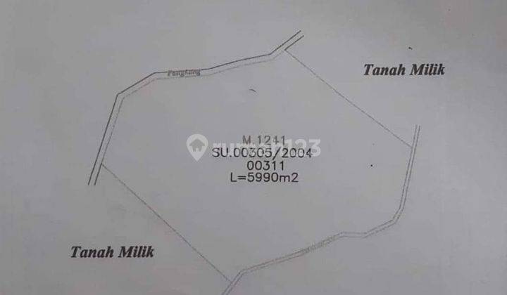 Tanah 60 Are di jln buwit, Buwit SHM - Sertifikat Hak Milik 2