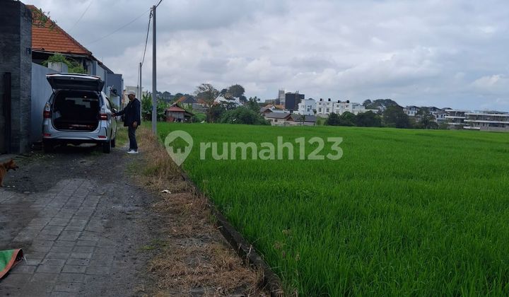 For Rent 25 Are Land Located in Cemagi